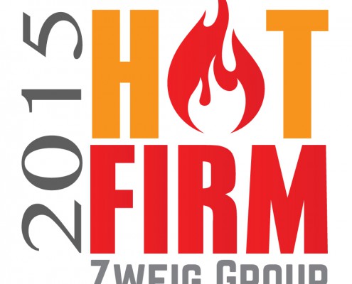 2015 Hot Firm Winner