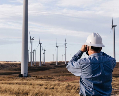 Wind Farm Surveyor