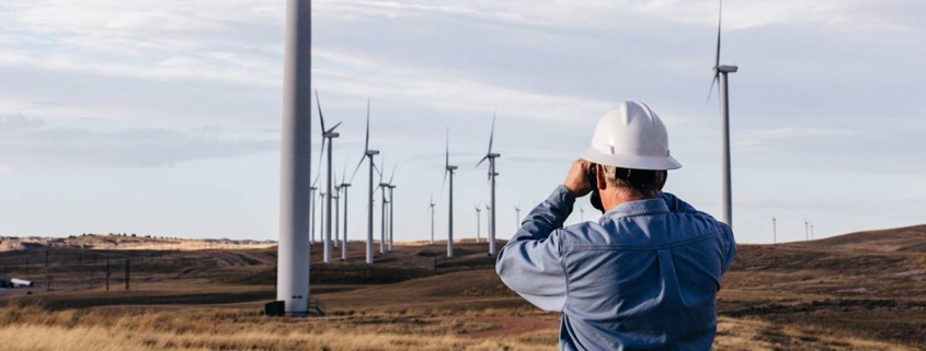 Wind Farm Surveyor